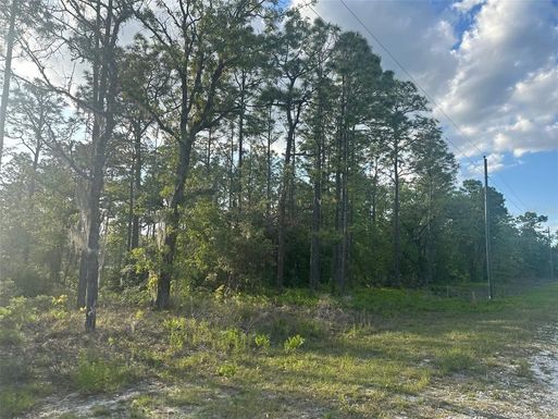 Lot 18 CAYMAN ROAD