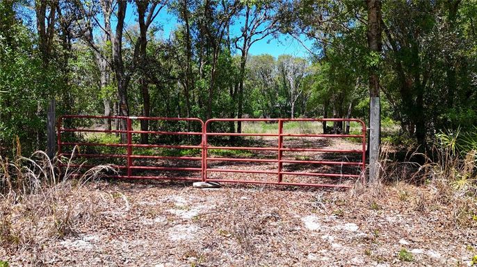 34281 UMBRELLA ROCK DRIVE