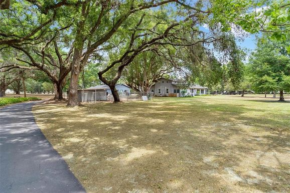 43411 STATE ROAD 19