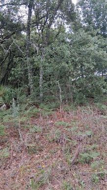 5887 / 5899 N BEDSTROW BOULEVARD