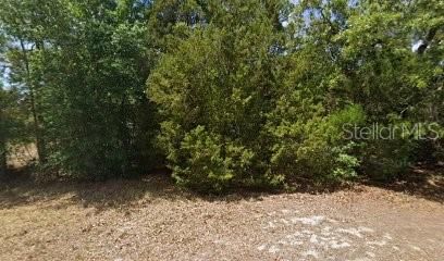 2672 S WILLOW TERRACE