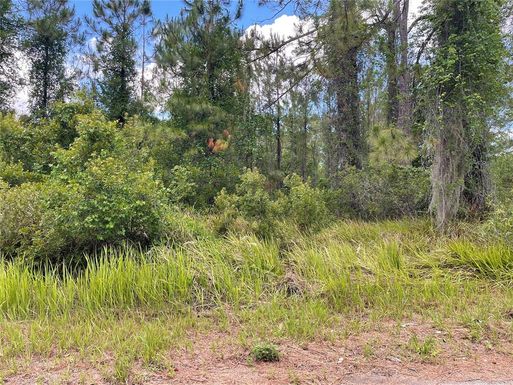 Lot 1 LOCUST PLACE RUN