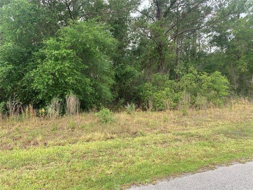 525 LIVE OAK LOOP