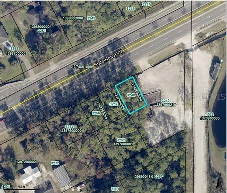 3248 STATE ROAD 207