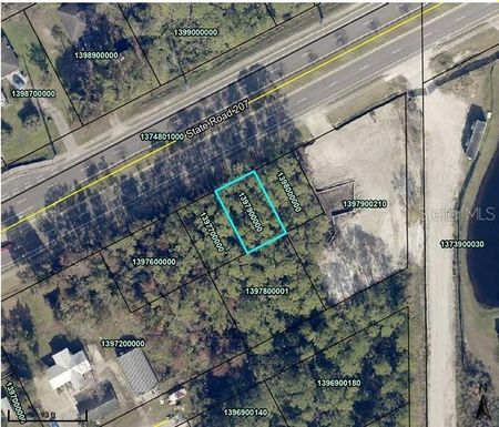 3252 STATE ROAD 207