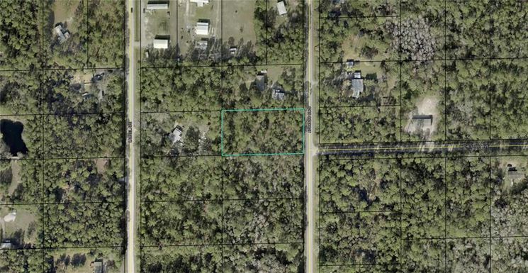 1590 AVOCADO BOULEVARD