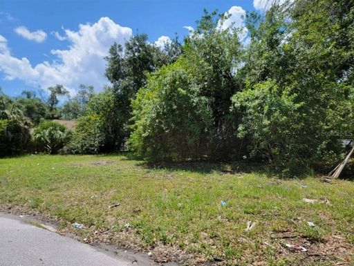 809 PALM BLUFF STREET