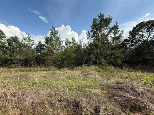 2921 W SEVILLE DRIVE