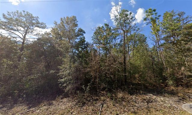 0 CANYON SWALLOW ROAD Lot 5