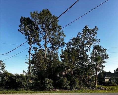 31 PALM LANE