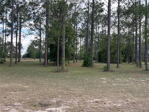 35135 PINEGATE TRAIL