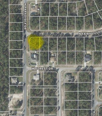 9309 N FAIRY LILLY DRIVE