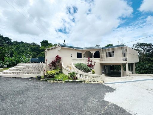 CARR. 922 KM 0.8 BO. COTTO MABU