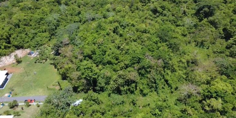 Carr. 461 Km 3.0 Int BO CORRALES