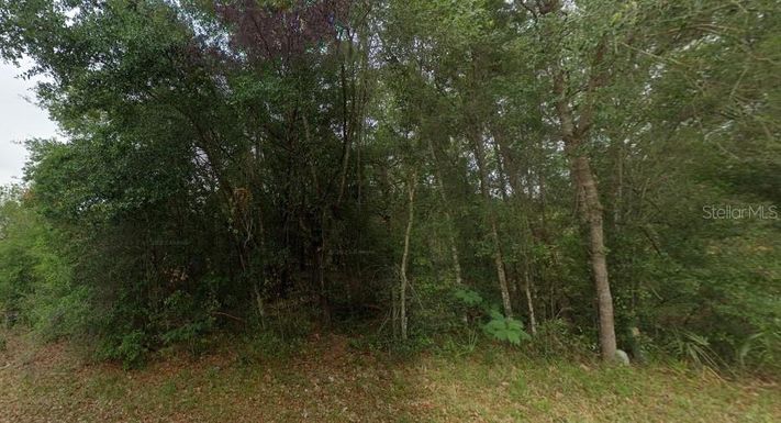 8681 N CATAPANE LOOP