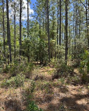 00 POMP {LOT7003} PARKWAY