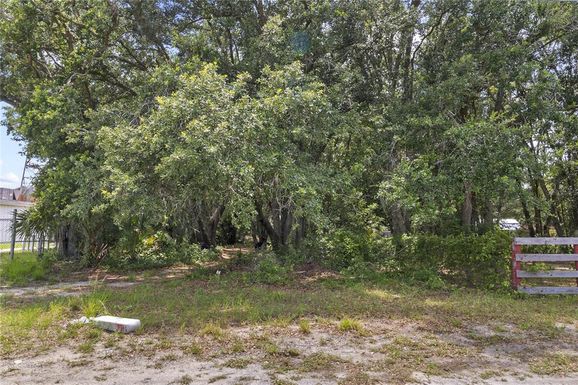 COMMONWEALTH AVENUE N