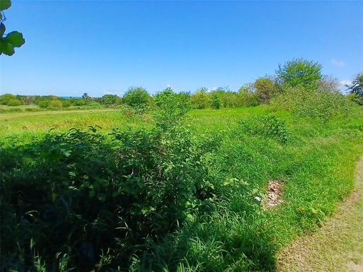 15.5 CARRETERA 681 KM.HM 15.5