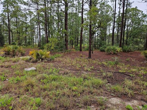 308 SUNFLOWER AVENUE