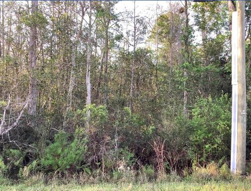 20828 QUINLAN STREET