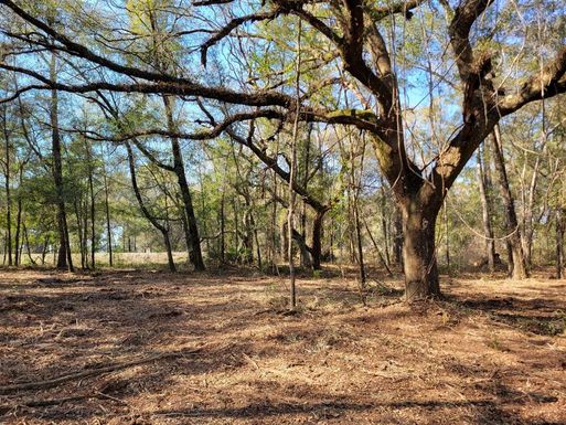 3.57ac NE 315 HIGHWAY UNIT 32