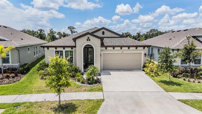 6227 GOLDEN NETTLE DRIVE