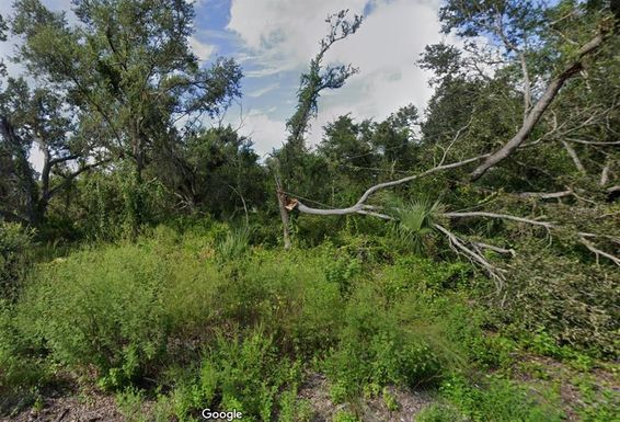 1389 HILLARY TERRACE