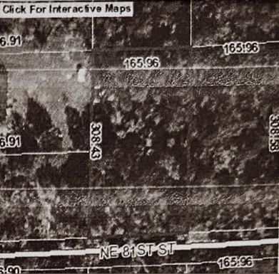 NE 81 ST