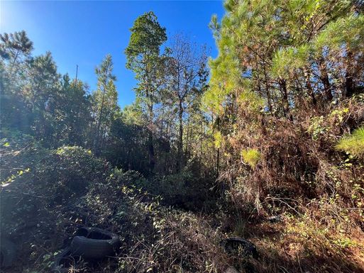 223 MOURNING DOVE ROAD
