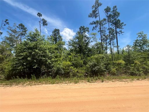 TAMARAC ROAD