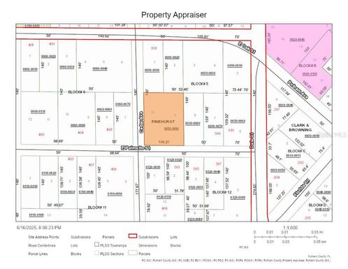 502 E PALMETTO STREET