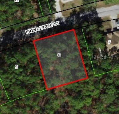 39 FRINGETREE STREET