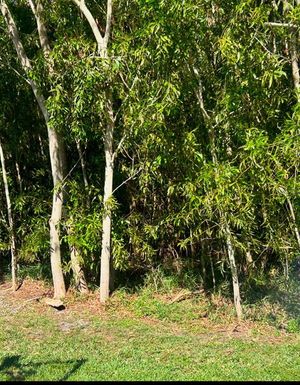 4941 NW FOXWORTH AVENUE