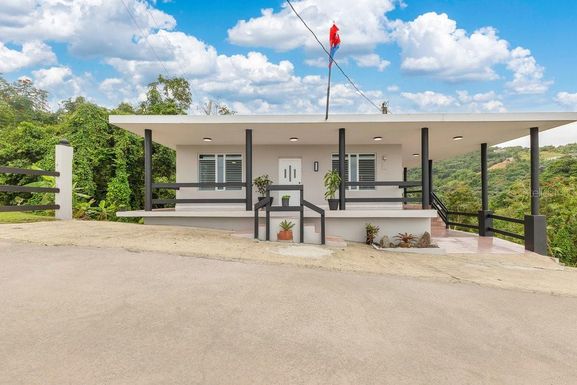 CARR. 990 BO. MATA DE PLATANO LOT A