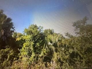 7154 FREEBERG CIRCLE