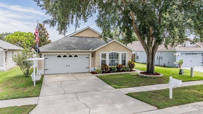 24449 MISTWOOD COURT