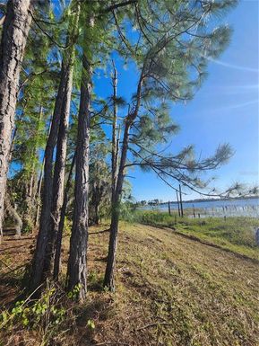 2332 MITCHELL ISLAND ROAD