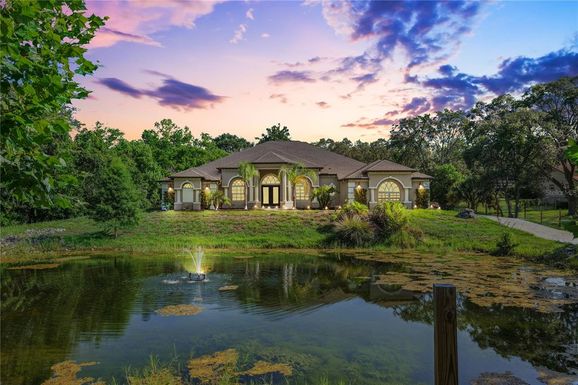 16291 EAGLE VIEW DRIVE