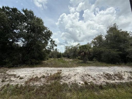 16909 NW 290TH STREET