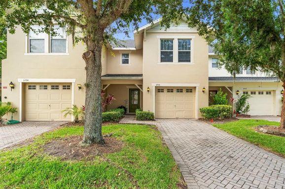 9746 TIRAMASU TRAIL
