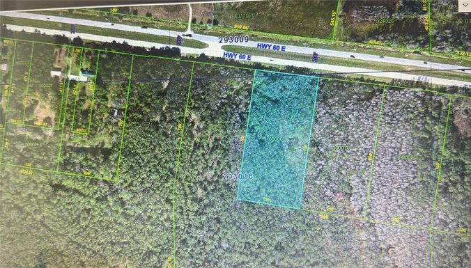 0 STATE ROAD 60 E LOT 6 ROAD N