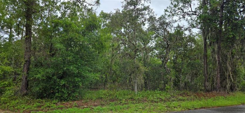 1308 N PROSPECT AVENUE