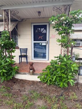 485 N BUENA VISTA DRIVE