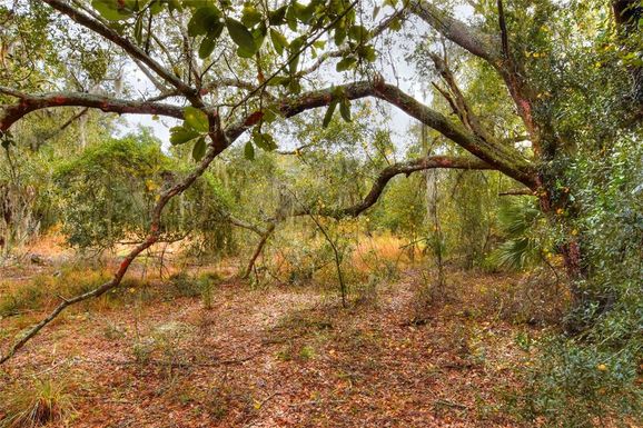 0 KEYSVILLE ROAD