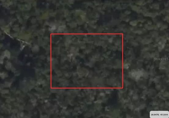 RIEGEL (PAPER) AVENUE