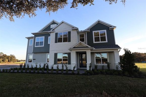 17030 OVERSTORY DRIVE