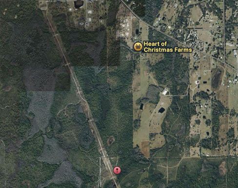 FORT CHRISTMAS RD WAY