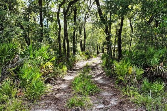 0000 SW COUNTY ROAD 347