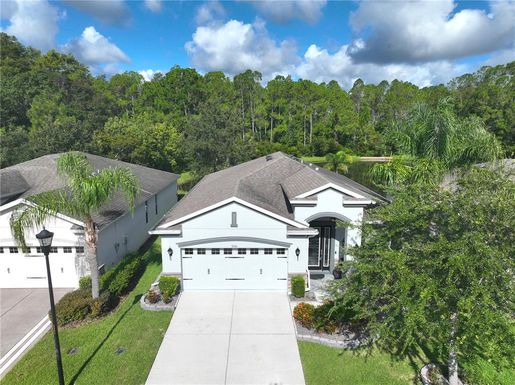 9941 SAUNTON DRIVE