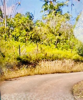 119 CARRETERA